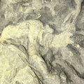 Ichnofossils