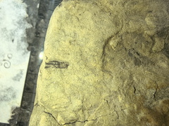 IMG 20250823 154724861 HDR