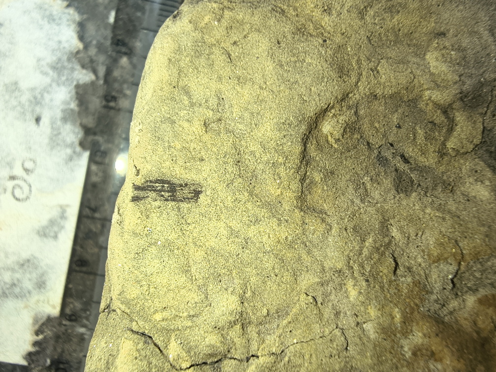 IMG 20250823 154724861 HDR