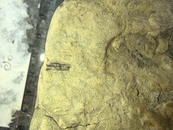 IMG 20250823 154724861 HDR