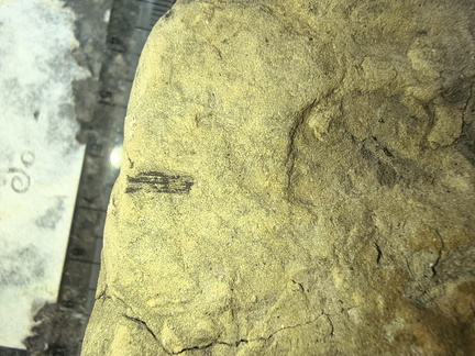 IMG 20250823 154724861 HDR