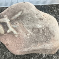 Ichnofossils 