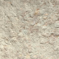 Brachiopods