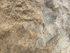 Ichnofossils