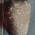 LE10 Fossil Packstone Worn specimen containing possible crinoids, bryozoan fragments  and brachiopod shell material