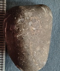 LE10 Fossil Packstone Worn specimen containing possible crinoids, bryozoan fragments  and brachiopod shell material