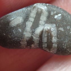 LE39