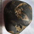 LE33 Crinoid Columnals (includes Pentagonal Cross-Sections)