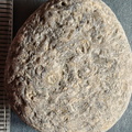 LE14 Crinoid Columnal-Rich Packstone Containing numerous columnals (including pentalobate lumens)