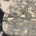  LE28 Crinoidal Packstone (includes Pentalobate Lumen Cross-Section)