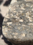  LE28 Crinoidal Packstone (includes Pentalobate Lumen Cross-Section)