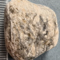  LE28 Crinoidal Packstone (includes Pentalobate Lumen Cross-Section)