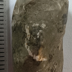 LE51