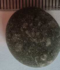 LE34 Brachiopod Slivers and Indet. matter