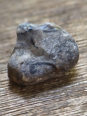 LE25 Brachiopod Fragment