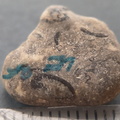 LE25 Brachiopod Fragment