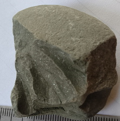 RR. 16, indet. fossil, likely brachiopod piece