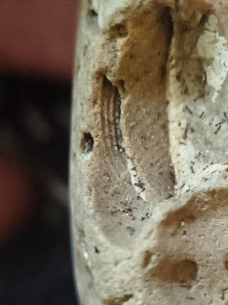 Brachiopod Impressions- spirifid and Indet.  