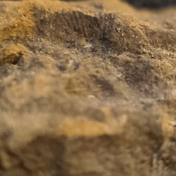 Seth Meyers Nature Trail