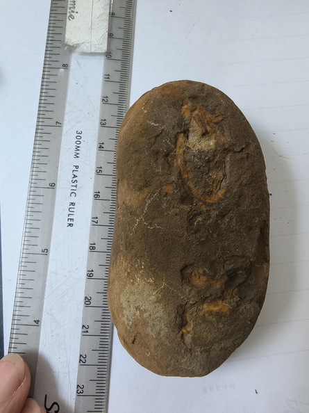 RR14 Brachiopod Imprints