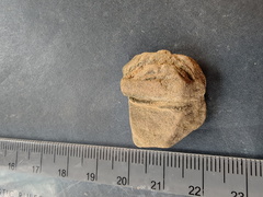 IMG 20251115 142515723 HDR