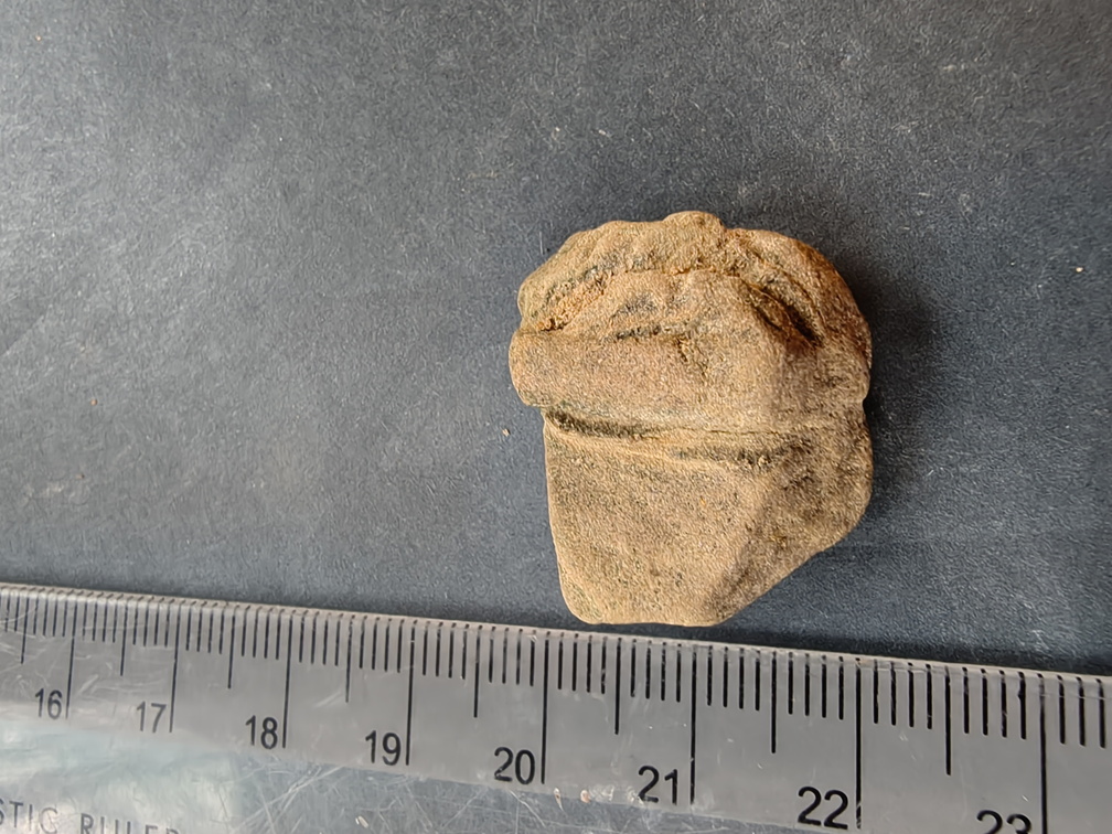 IMG 20251115 142515723 HDR