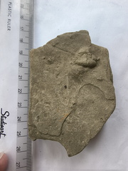 IMG 20251116 102219875