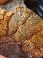 RR17 Orthoceratoid Nautiloid (cf. Michelinoceras)