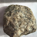 SRL175 Bioclastic  Packstone (incl. crinoids and brachiopods)