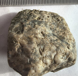 SRL175 Bioclastic  Packstone (incl. crinoids and brachiopods)
