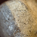 SRL136 Bryozoan Mix