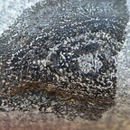 LE112 Placoderm Segments, possibly Protitanichthys or Bothriolepis r 